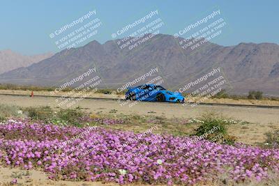 media/Jan-29-2023-PCA San Diego (Sun) [[aa0301ccc2]]/Yellow Group/Session 1 (Turn 15 Bloom)/